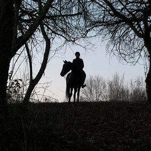 Meet your Posher, Brandy